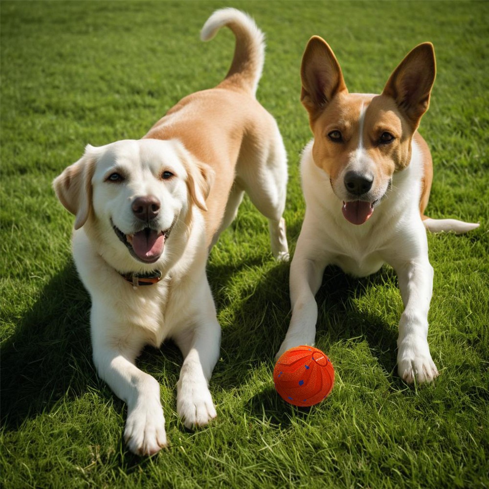 Automatic Moving Dog Ball - Bite Resistant Smart Dog Ball Wear