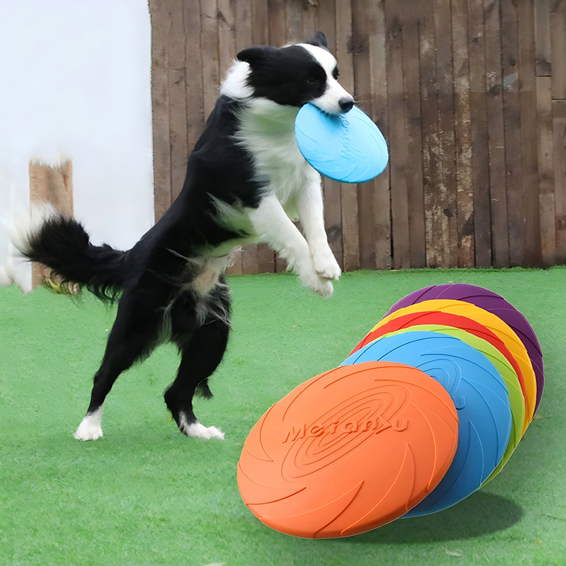 Silicone Flying Disc Toys Mult - Flying Disc Dog Training Toy recension och pris