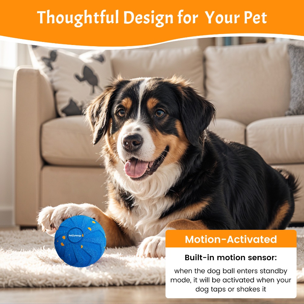 Bite Resistant Smart Dog Ball  - Automatic Moving Dog Ball recension och pris