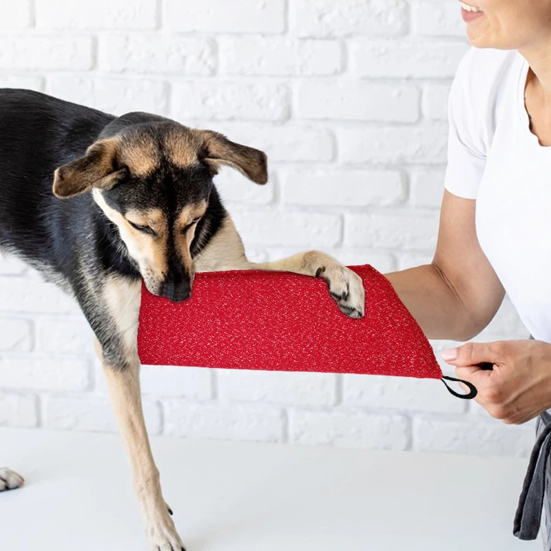 Dog Training Sleeves Puppy Bit - Interactive Squeaky Plush Dog Toy recension och pris
