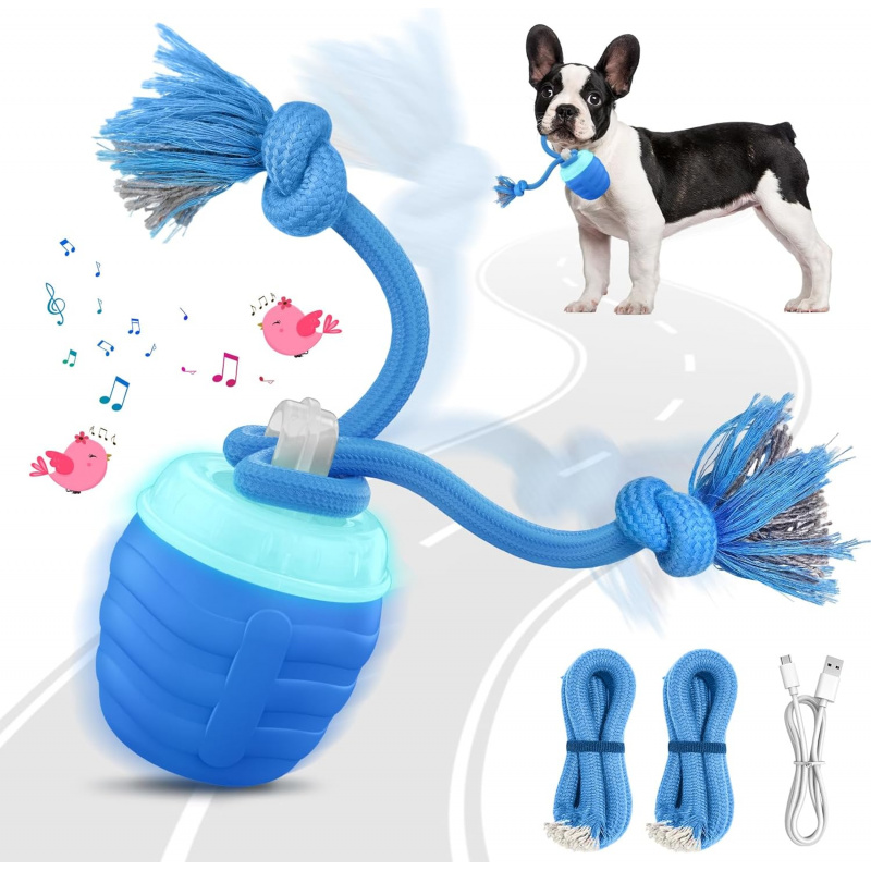 2026 Upgraded Automatic Moving - Automatic Moving Dog Ball recension och pris