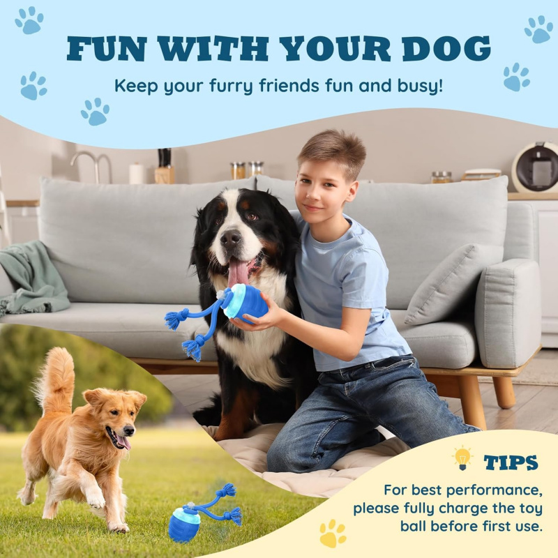2026 Upgraded Automatic Moving - Automatic Moving Dog Ball recension och pris