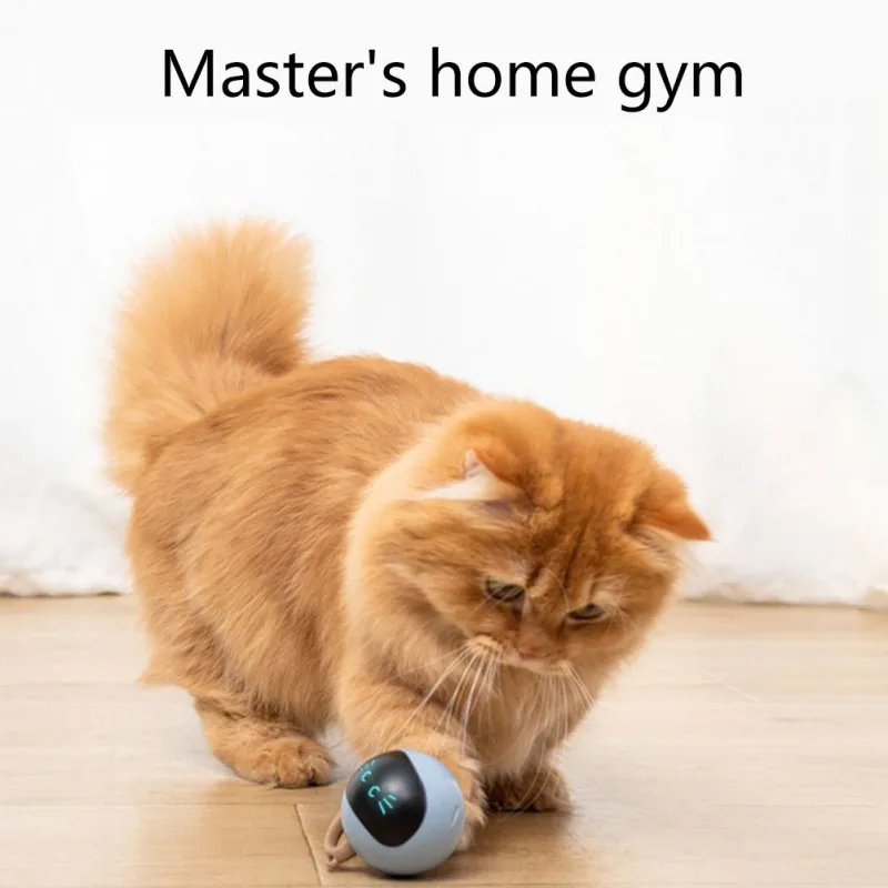 Interactive Cat Ball Toy USB R - Automatic Moving Dog Ball recension och pris