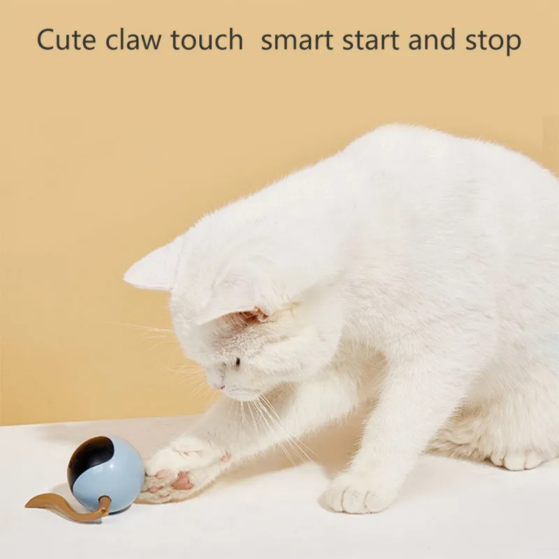 Interactive Cat Ball Toy USB R - Automatic Moving Dog Ball recension och pris