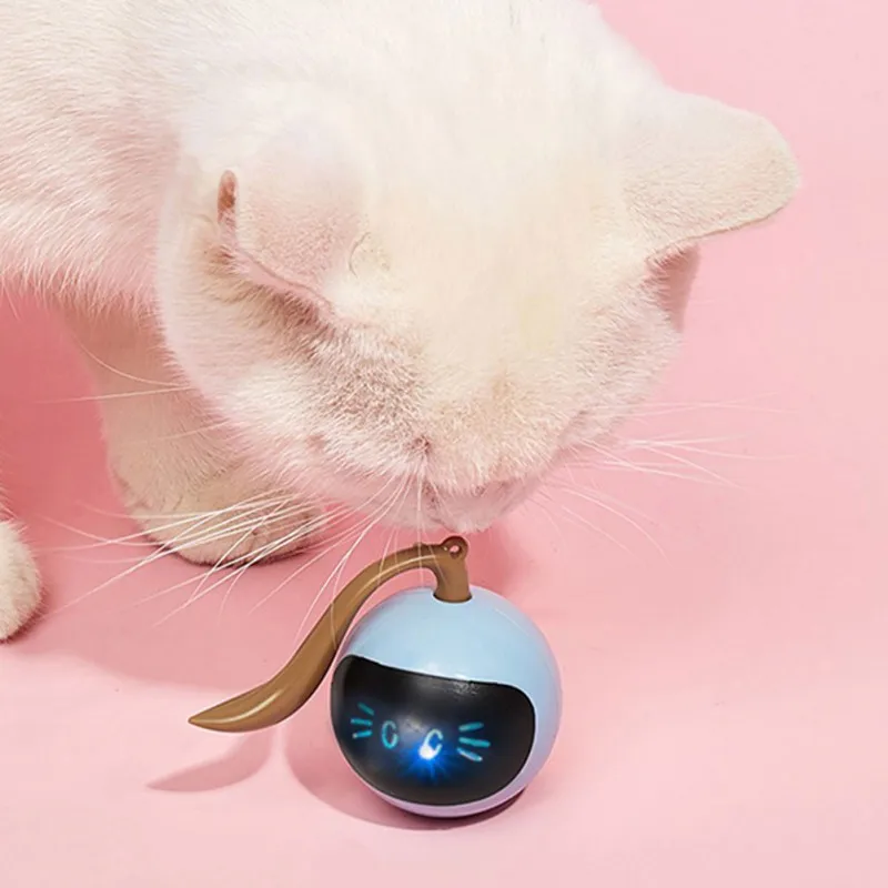 Interactive Cat Ball Toy USB R - Automatic Moving Dog Ball recension och pris