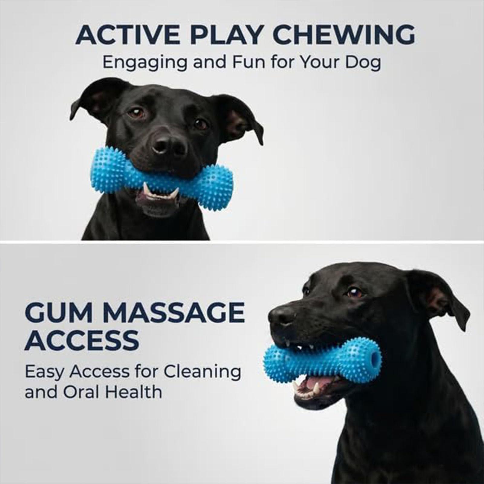 Dog Toothbrushing Toys Chewer  - Rubber Treat Dispensing Dog Toy recension och pris