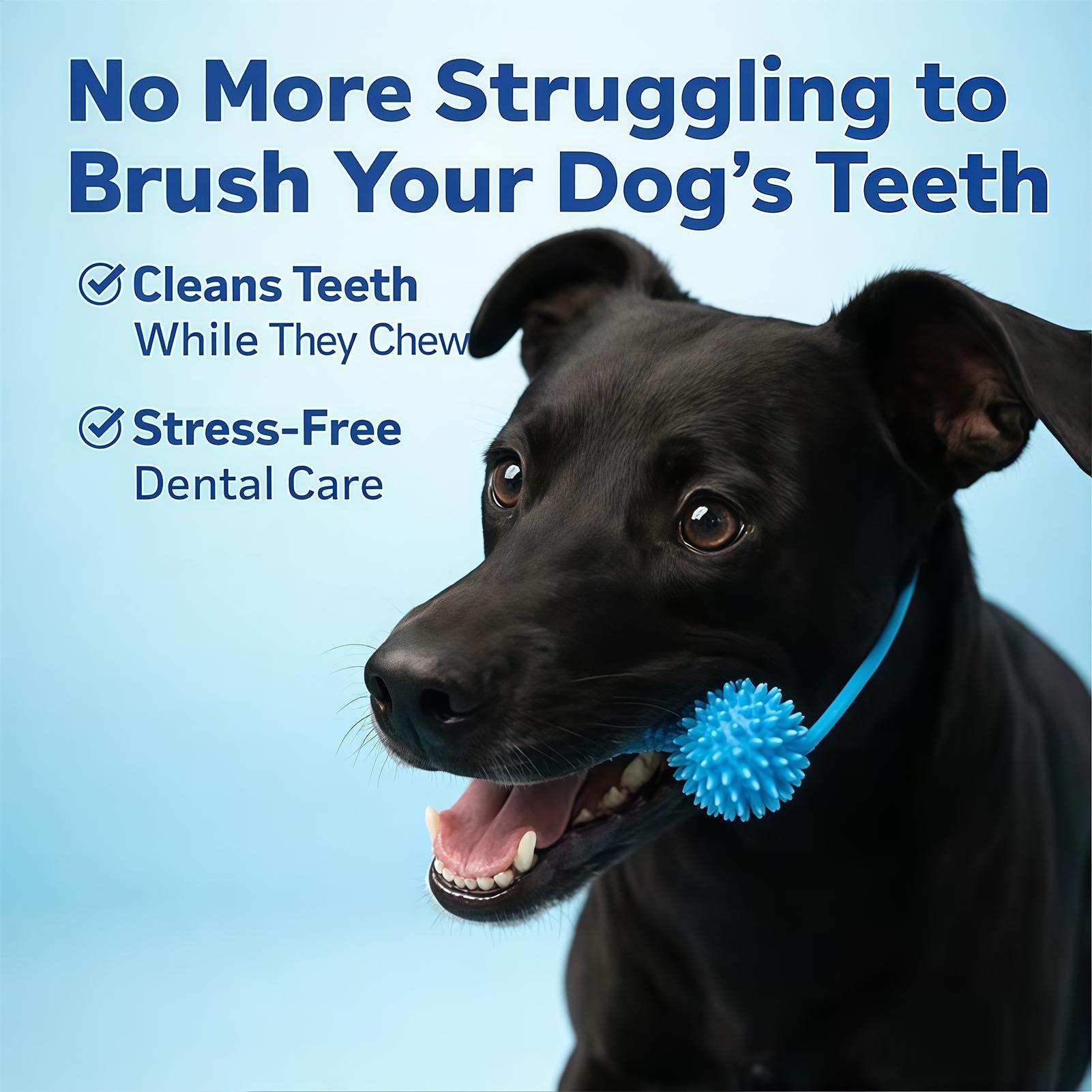 Dog Toothbrushing Toys Chewer  - Rubber Treat Dispensing Dog Toy recension och pris