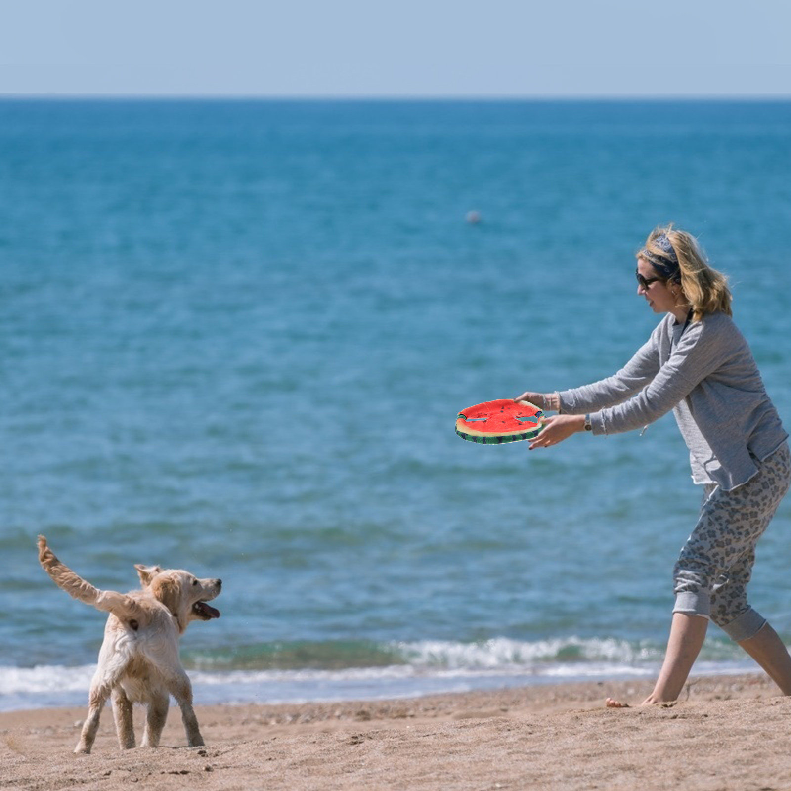 Dog Flying Disc Floating Water - Flying Disc Dog Training Toy recension och pris
