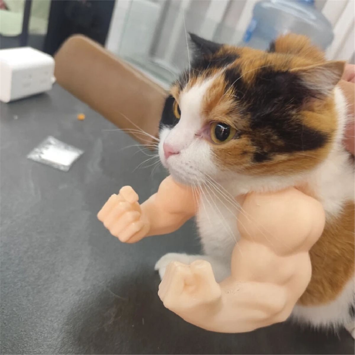NEWCat Muscle Arm Pendant Pet  - Cat Toys recension och pris